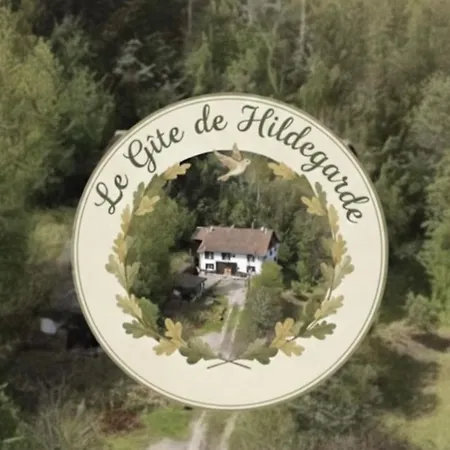 Le De Hildegarde