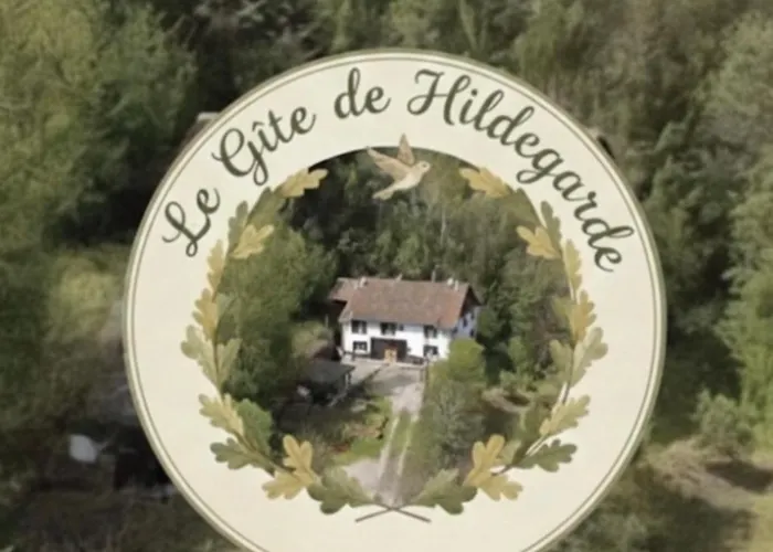 Le De Hildegarde